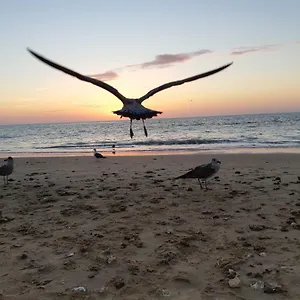 La Gaviota Apartamento Chipiona